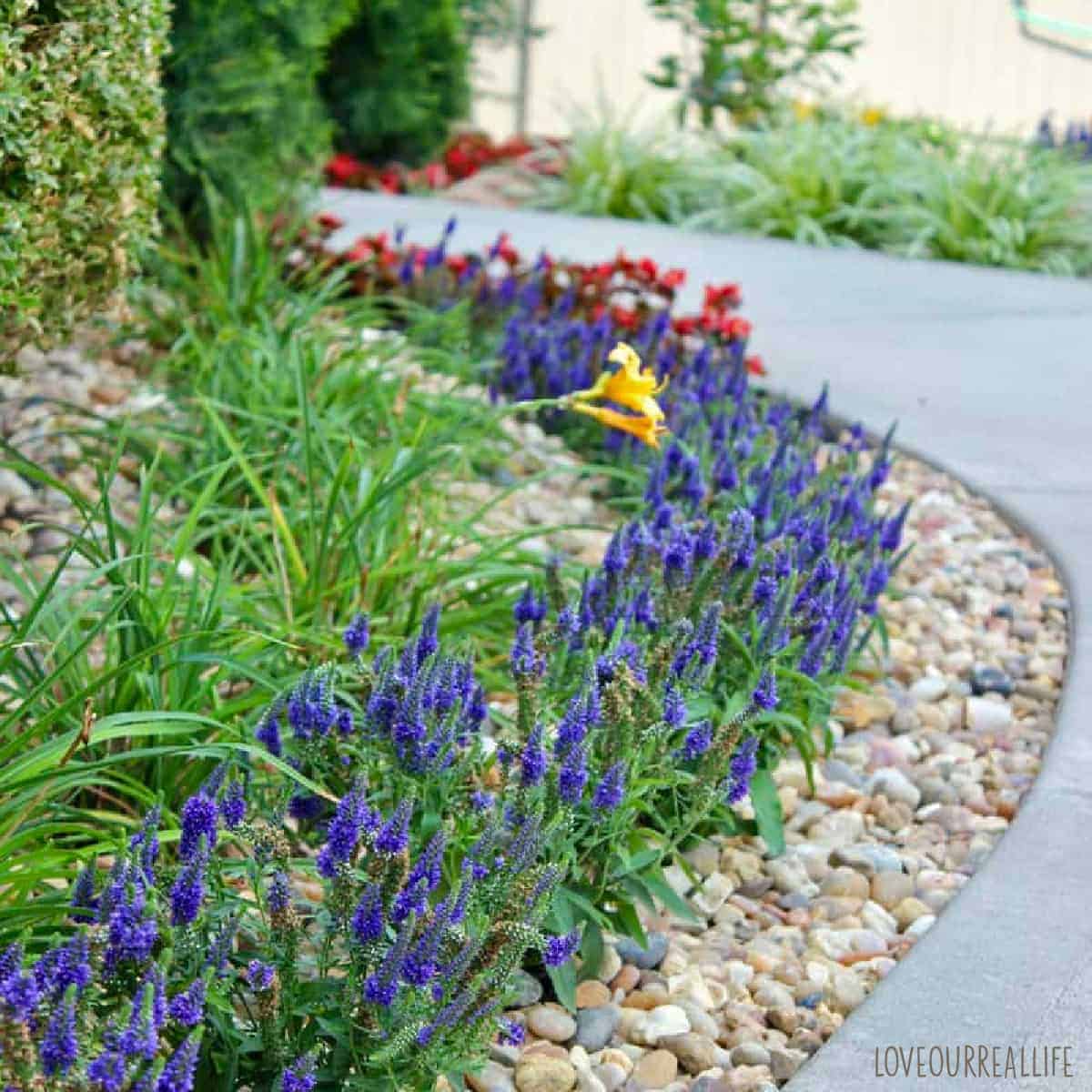 Ideas for Front Yard Landscaping | A Before and After ⋆ Love Our Real Life