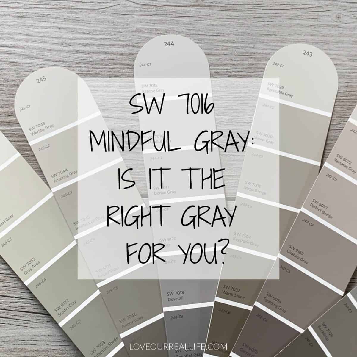 various gray paints on color swatches