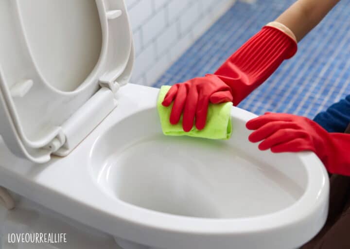 How to Clean Toilet Stains with Vinegar ⋆ Love Our Real Life