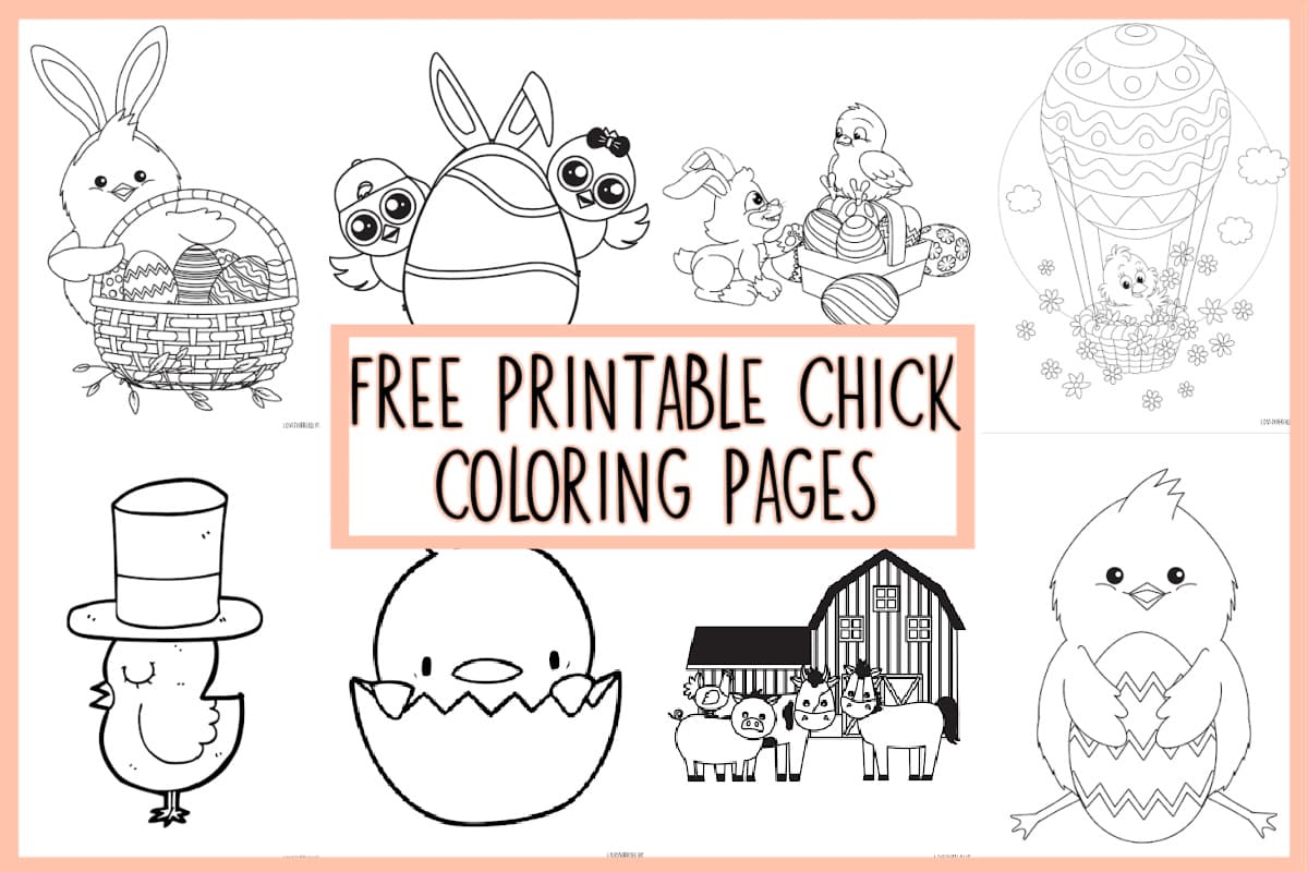 Collage of eight chick coloring pages.