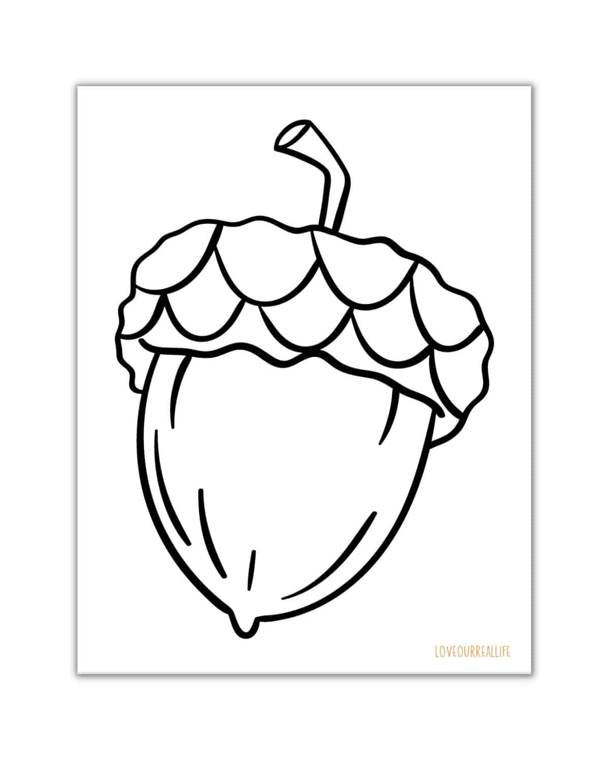 Acorn Squash Coloring Page
