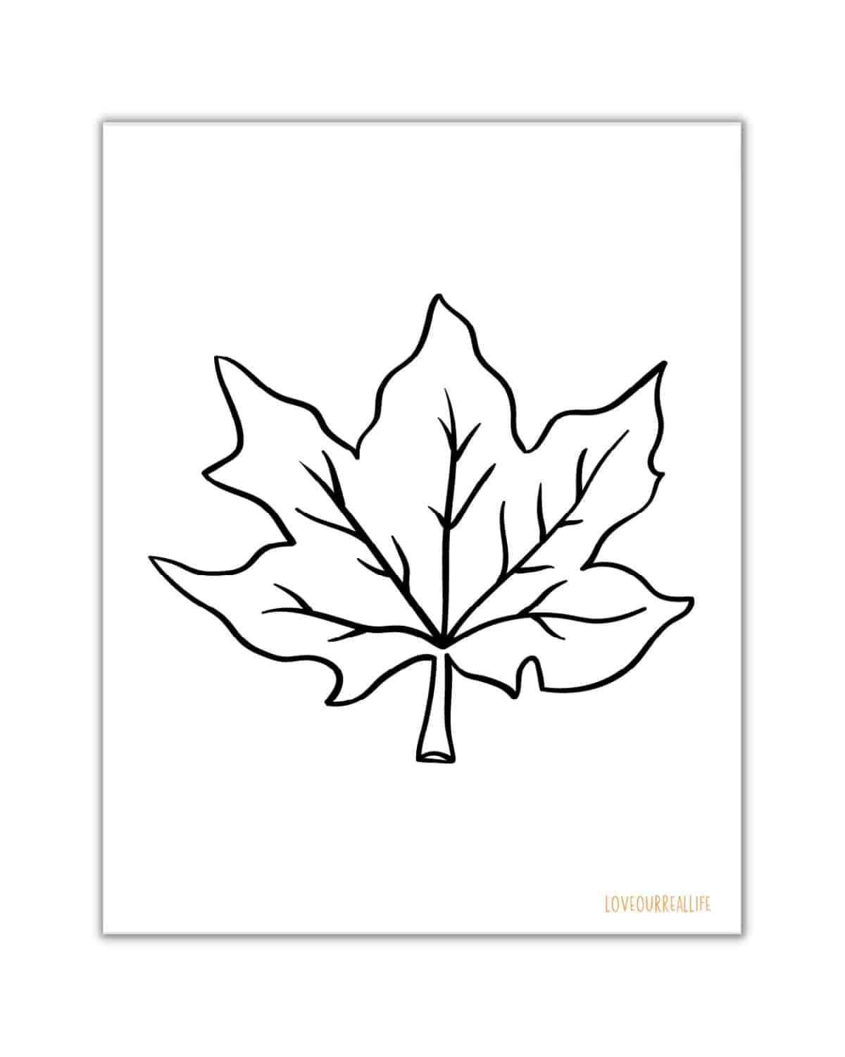 Single black and white maple leaf coloring sheet.