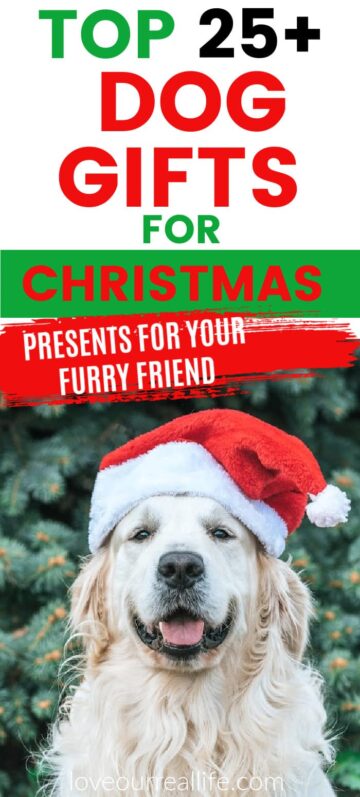 For Large Dogs Best Dog Christmas Gifts Best Christmas Gift For A