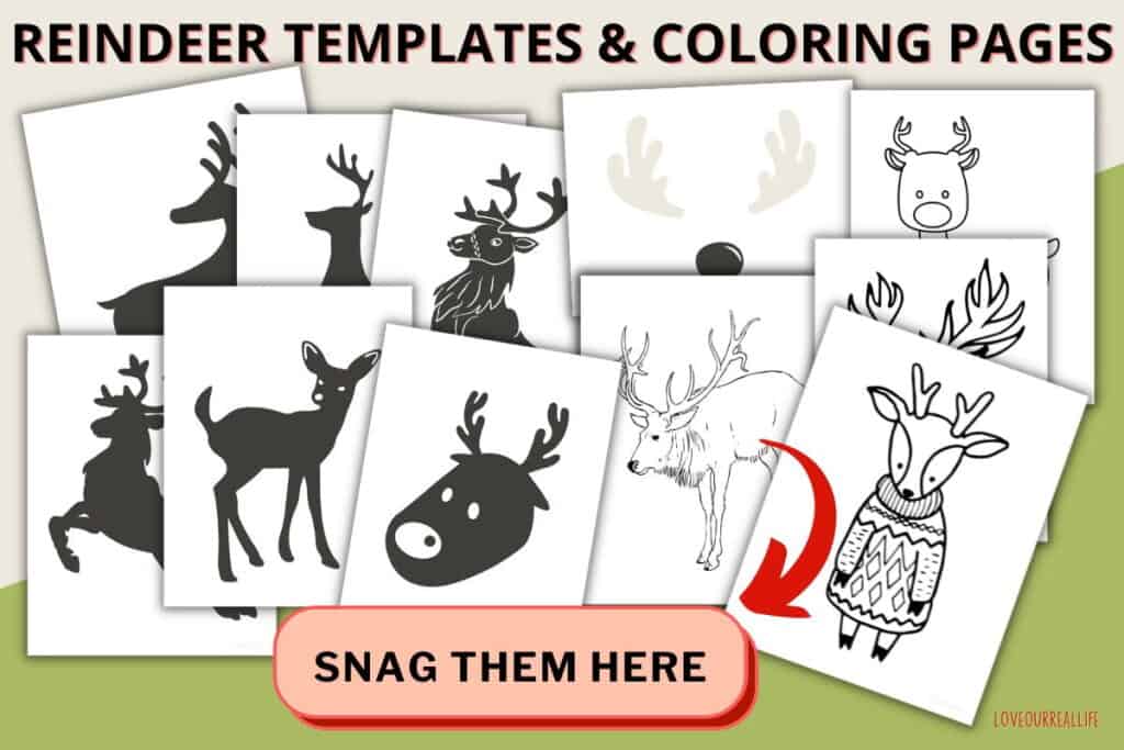 FREE Printable Reindeer Template - Paper Craft for Kids ⋆ Love Our Real ...