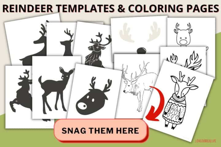 FREE Printable Reindeer Template - Paper Craft for Kids ⋆ Love Our Real ...