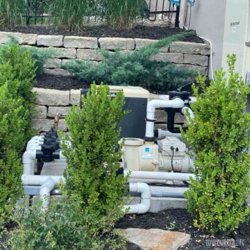 Reducing pool pump noise for neighbors with sound barriers / plants.