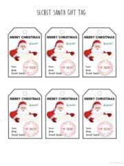 Free Printable Santa Gift Tags (Download Instantly to Print) ⋆ Love Our ...