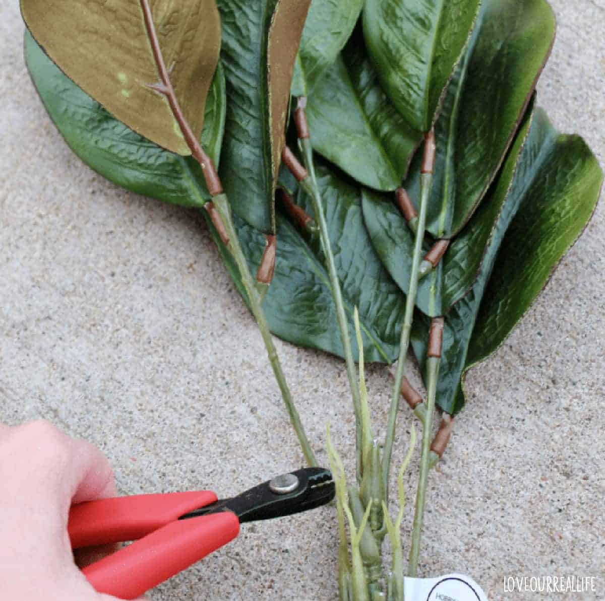 Cutting floral stems to create magnolia wreath.