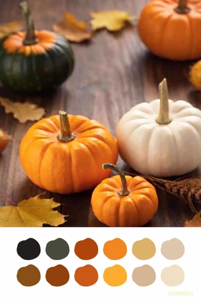 Fall Autumn Color Palettes: Create Cozy Spaces with Nature's Hues ⋆ ...