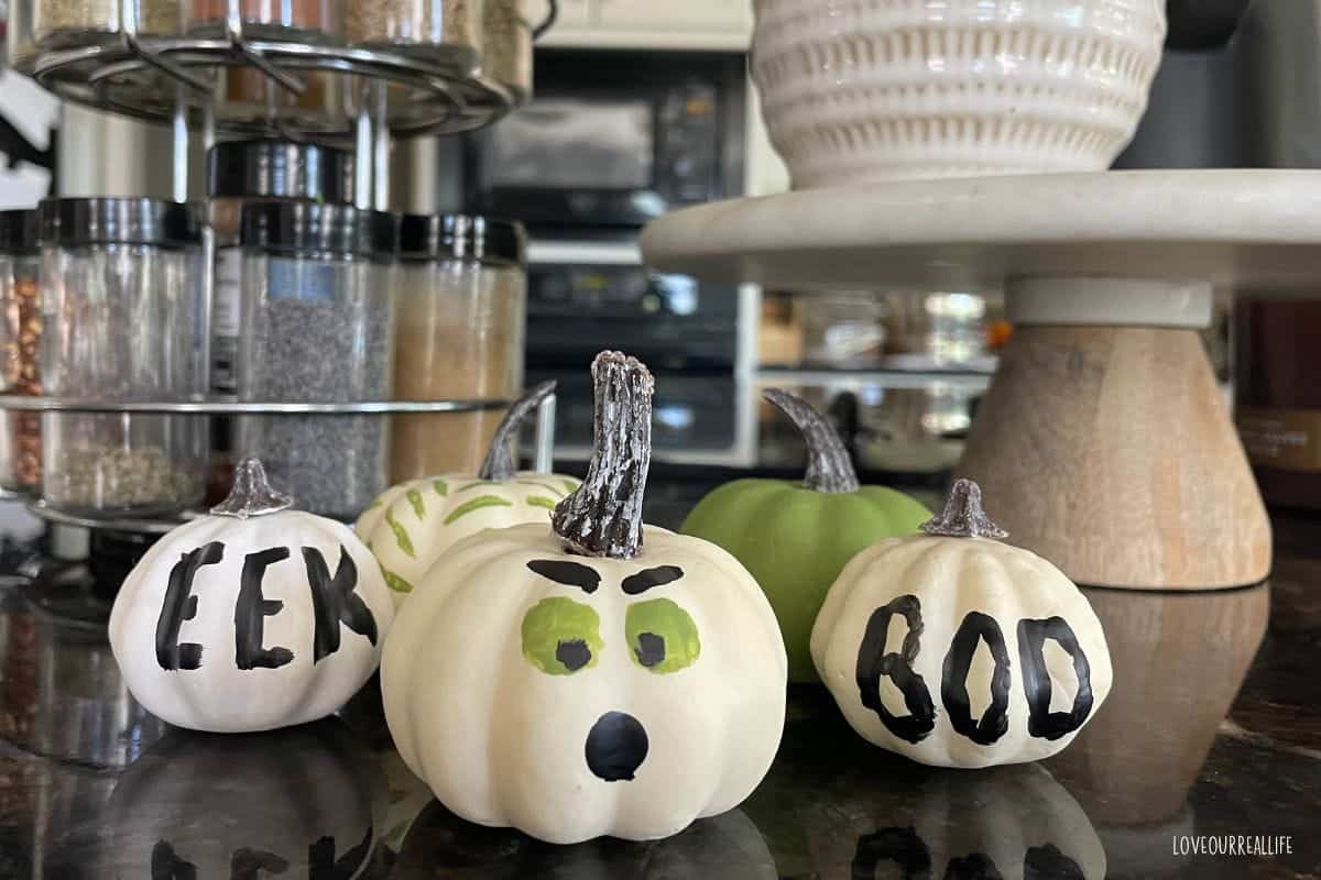 Painted pumpkins displayed in the kitchen on counter.