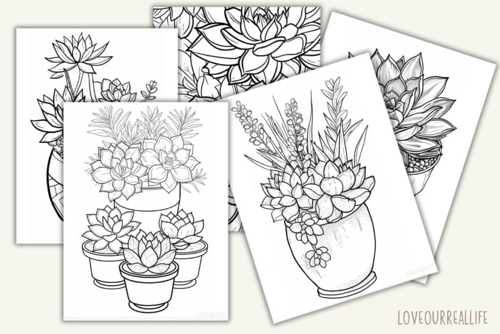 Succulent Coloring Pages – Free Printable PDFs for Kids and Adults ⋆ ...