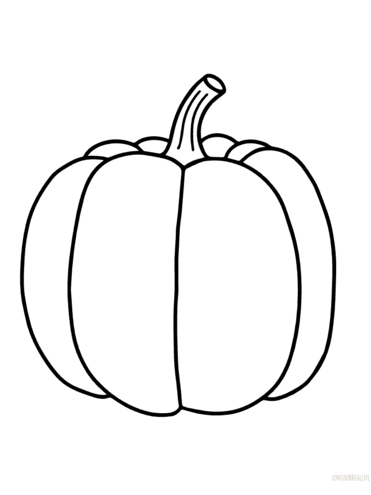 Pumpkin outline with stem.
