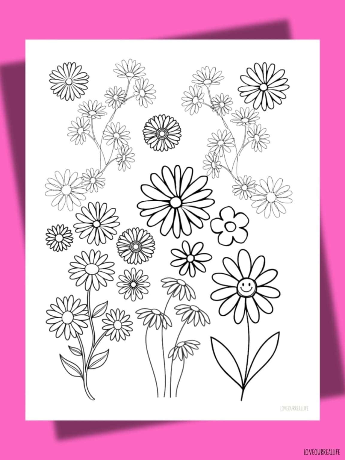 Free Printable Flower Coloring Pages (Daisies, Roses & Lilies) ⋆ Love ...