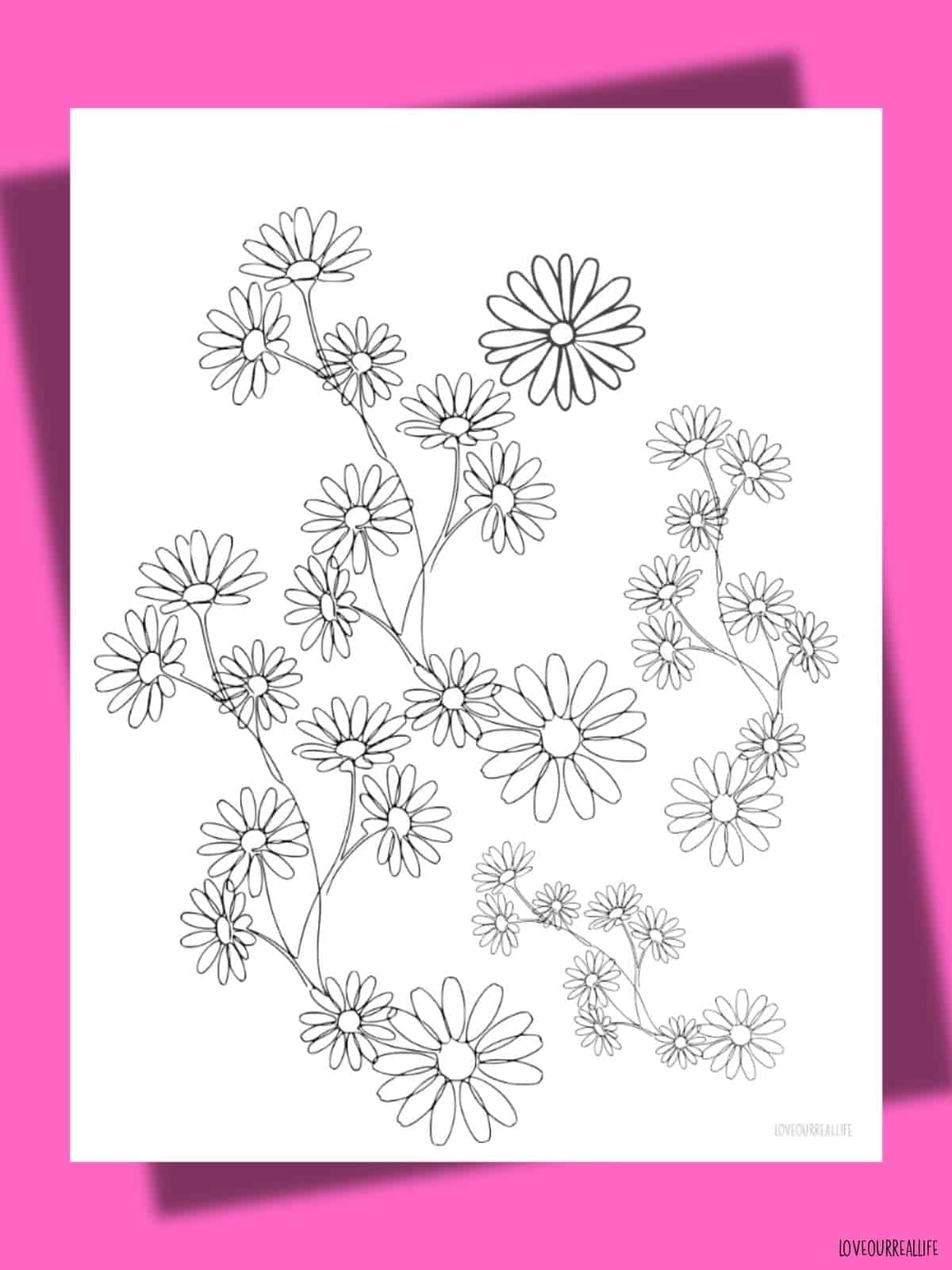 Daisy coloring page printable.