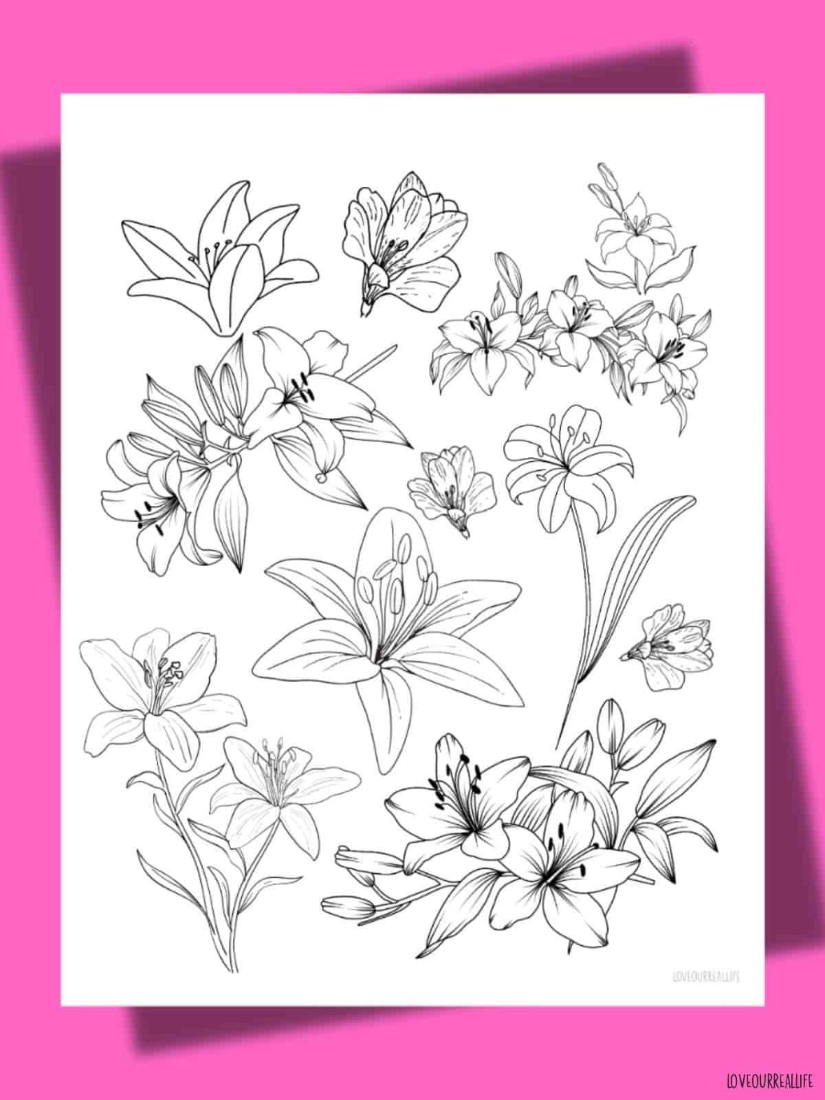 Lilies coloring page.