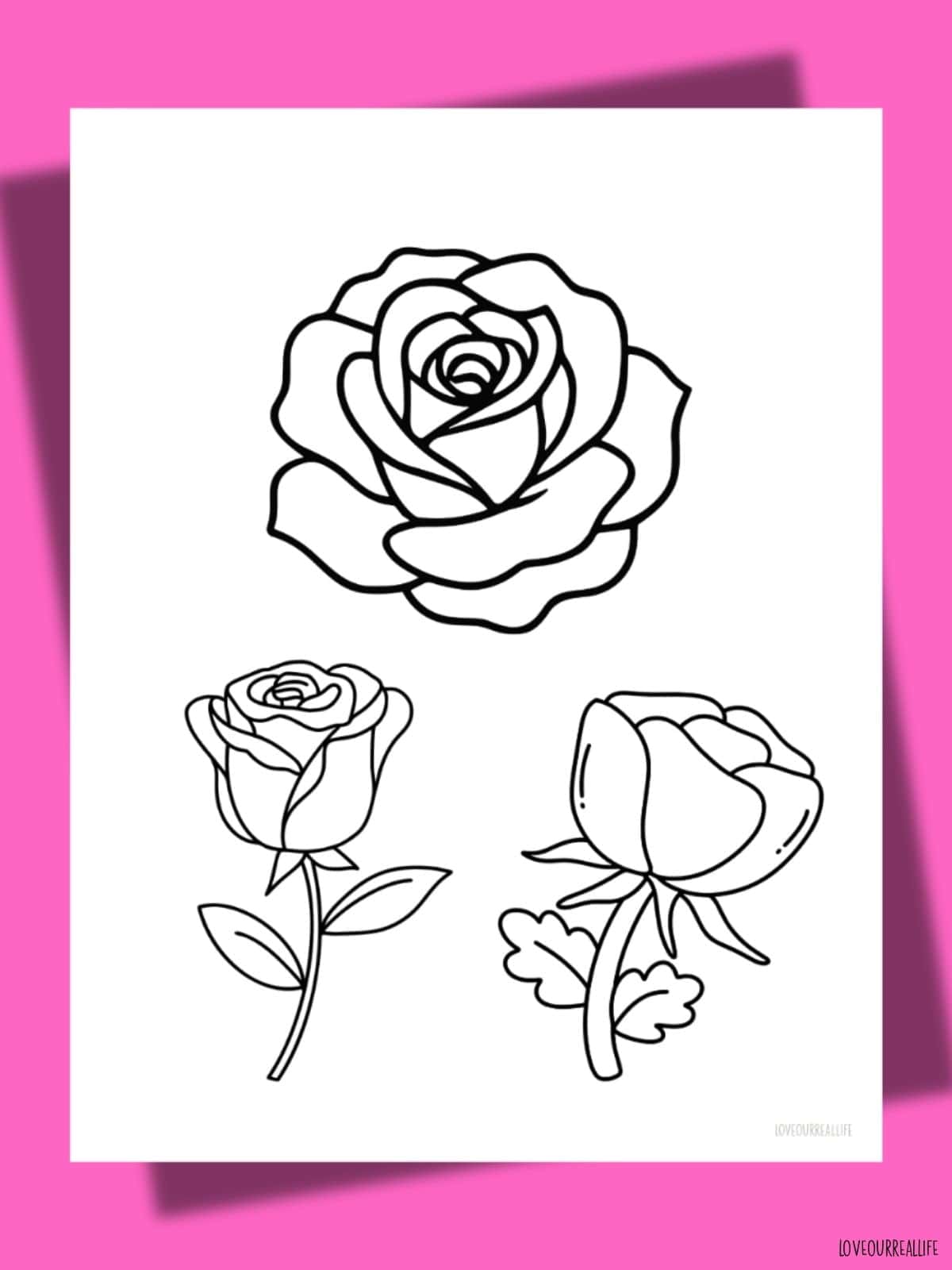 Rose coloring page.